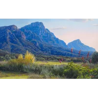ac0033_-_kirstenbosch_gardens_2062588967