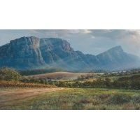 ac0136_-_constantia_valley_from_hohenort_ave