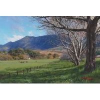 ac0177_mini_coopers_-_cows_grazing_buitenverwachting