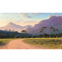 ac0183_groot_constantia_vineyards