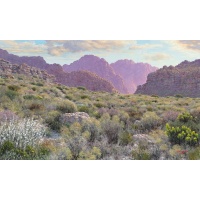 ac0223_-_amongst_the_fynbos_bains_kloof