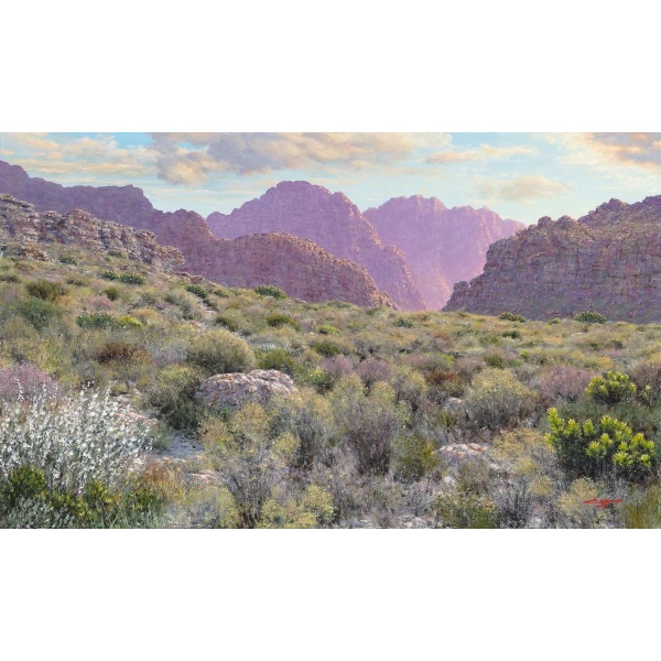 ac0223_-_amongst_the_fynbos_bains_kloof