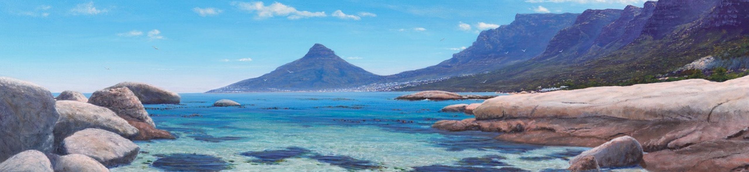 Andrew Cooper artists terms of service